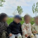꼬마숲어린이집 | 창원연장보육 믿고 맡길 수 있는 무지개꼬마숲어린이집