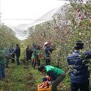 원동면사무소 이미지