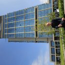 우즈베키스탄 세계민속음악과 춤축제 심사(1) 이미지