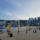 송도해수욕장 이미지