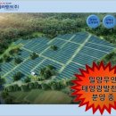 한국쏠라뱅크 태양광발전소 이미지