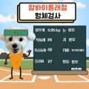 금정유치원 이미지