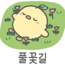 나비잠 방탈출카페 이미지