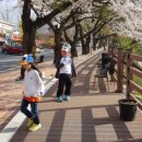 산채음식관 네이버블로그
