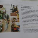 벨리타커피플라워