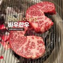 바우애견 | 선릉역 소고기 콜키지프리 애견동반 가능한 바우한우