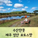 삼별초힐링농원 | 숨은 포토스팟 수산한못 제주도 성산여행
