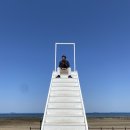 밧개오션 이미지