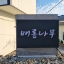 배롱나무 독채스테이 이미지