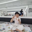 Dream of Judo 세종유도관 보람점 이미지