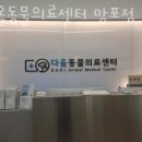 다올동물의료센터 망포점 이미지