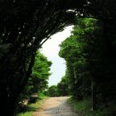 아름다운 인생샷을 남기기 좋은 제주도 남쪽 가볼만한 곳 이미지