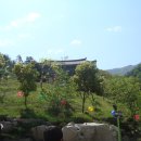 사*천