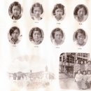 장호초등학교 이미지