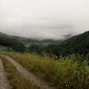 백우농장 이미지