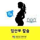 천안에너지뱅크 | (천안아산 산후도우미) 임산부 칼슘의 필요성