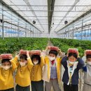 무안어린이집 이미지