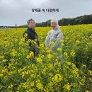 사랑의유람선 | [여행후기] 하나투어 우아한여행 제주도패키지 김포출발 아들이 보내준 효도관광여행 2박3일