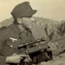 파인(143) 이미지