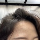 꽃님미용실 - 남해군 남서대로 788 | 미아사거리미용실 아미유헤어 미아사거리점, 반곱슬 뿌리 볼륨매직으로 잔머리까지