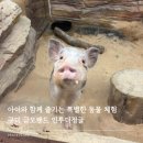 더정글 | 구미 인투더정글 방문 후기, 금오랜드에서 만나는 신나는 동물 교감 체험