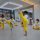 충효태권도(한들물빛관) 이미지