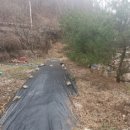 백두대간농장 이미지