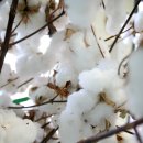 건디윈디 이미지