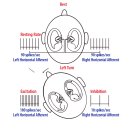 베이스피티 이미지