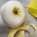 게바농장 이미지