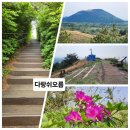 수산초등학교 | 제주, 다랑쉬오름ㆍ웅장하고 강인한 풍모가 멋 있는 오름의 왕