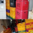 처분이사 이미지