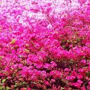 오금공원 이미지