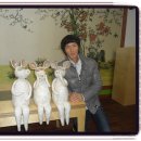 청주외국어고등학교 이미지