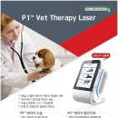 담은동물병원 이미지