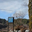 (주)코스타 | 강릉 커피 맛집 크레마코스타 커플을 위한 점심 카페 방문 후기