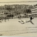 옥정초등학교 이미지