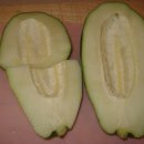 그린파파야 이미지