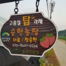 딸기딸기 네이버블로그