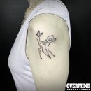 세마 사슴 이미지