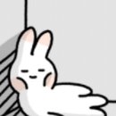 (주)고고퀸즈