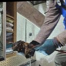 32 | 고척동 누수탐지에서 누수 해결한 후기!!~~