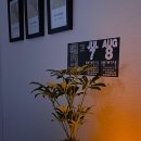 다복원룸 | (광고)10평 투룸 빌라 인테리어 추천 | 집 넓어 보이게 만든 아이템 5가지