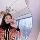 므네플라워 이미지