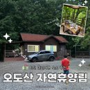 e-제로건축사사무소 | 합천 반값여행 숙소 여기 좋아요 오도산 자연휴양림 숲속의 집과 계곡