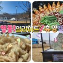영동 일라이트 휴양빌리지 이미지