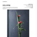 코코스플라워