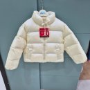 리틀밥독 이미지