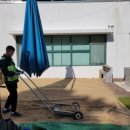 혜전대유치원 이미지