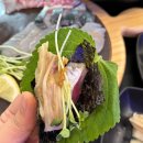 바다와월성 | 대구 고등어회, 갑오징어 물회가 맛있는 달서구맛집 바다와 월성점 찐 후기